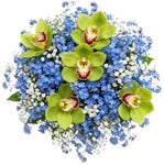Gorgeous Buquet of Forget Me Not and Cymbidium Orchids