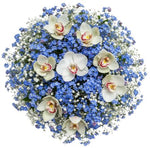 Gorgeous Buquet of Forget Me Not and Cymbidium Orchids