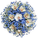 Gorgeous Buquet of Forget Me Not and Cymbidium Orchids