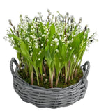 Gorgeous Lily of Valley with Roots and Catkins in a Basket - Flowers Box London