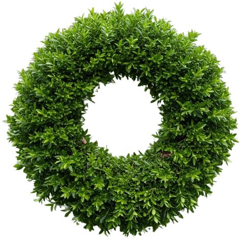 Green Baxus Door Wreath