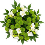 Green Santini Chrysanthemum and Freesias Bouquet