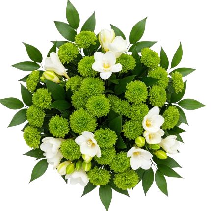Green Santini Chrysanthemum and Freesias Bouquet