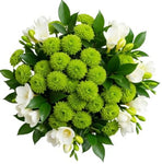 Green Santini Chrysanthemum and Freesias Bouquet