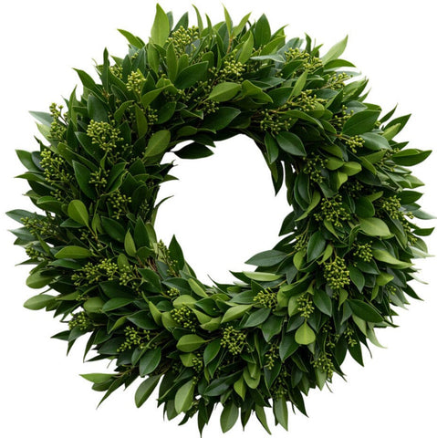 Green Skimmia Door Wreath - Flowers Box London
