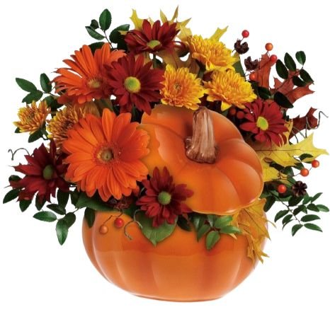 Halloween Magic Pumpkin Arrangement - Flowers Box London