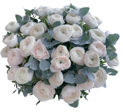 Hanoi Light Pink Ranunculus Bouquet with Eucalyptus - Flowers Box London