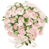 Hanoi Pale Pink Ranunculus with Pittosporum Bouquet - Flowers Box London