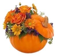Happy Halloween Pumpkin Arrangement - Flowers Box London