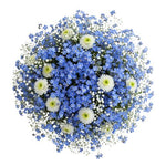 Heavenly Blue Blooming Whisper Bouquet