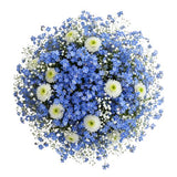 Heavenly Blue Blooming Whisper Bouquet
