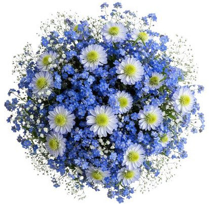 Heavenly Blue Blooming Whisper Bouquet