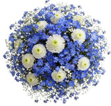 Heavenly Blue Blooming Whisper Bouquet