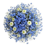 Heavenly Blue Blooming Whisper Bouquet - Flowers Box London