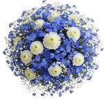 Heavenly Blue Blooming Whisper Bouquet - Flowers Box London