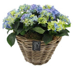 Hydrangea Basket Arrangement