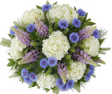 Hydrangea, Cornflower and Lupinus Symphony Bouquet - Flowers Box London