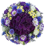 Hydrangea in Blue and White Bouquet - Flowers Box London