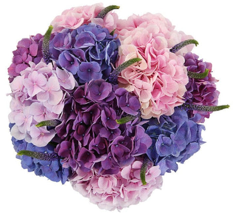 Hydrangea Trio Shades with Blue Veronica Bouquet