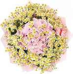 Hydrangea with Tanacetum Bouquet - Flowers Box London