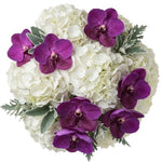 Hydrangea with Vanda Orchids Blooms Bouquet