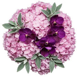 Hydrangea with Vanda Orchids Blooms Bouquet