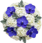 Hydrangea with Vanda Orchids Blooms Bouquet