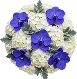 Hydrangea with Vanda Orchids Blooms Bouquet