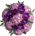 Hydrangea with Vanda Orchids Blooms Bouquet