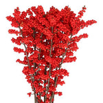 Ilex Vericillata Magical Berry: Perfect for Seasonal Decor and Floral Creations - Flowers Box London