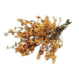 Ilex Vericillata Magical Berry: Perfect for Seasonal Decor and Floral Creations - Flowers Box London