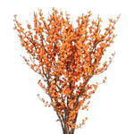 Ilex Vericillata Magical Berry: Perfect for Seasonal Decor and Floral Creations - Flowers Box London