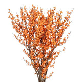 Ilex Vericillata Magical Berry: Perfect for Seasonal Decor and Floral Creations - Flowers Box London