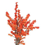 Ilex Vericillata Magical Berry: Perfect for Seasonal Decor and Floral Creations - Flowers Box London