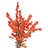 Ilex Vericillata Magical Berry: Perfect for Seasonal Decor and Floral Creations - Flowers Box London