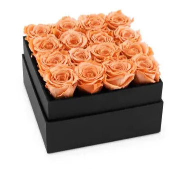 Infinity Roses Luxury Square Box -  Rose Head Ø 7cm