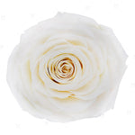 Infinity Luxury Roses Square Box - Rose Head Ø 3,5 cm - Flowers Box London