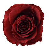 Infinity Roses Heart Box - Rose Head Ø 5cm