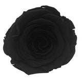 Infinity Roses Luxury Square Box - Rose Head Ø 7cm