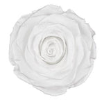 Infinity Roses Luxury Square Box - Rose Head Ø 7cm