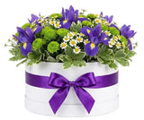 Iris and Daisy Tanacetum Flower Box - Flowers Box London
