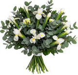 Iris and Freesias Eucalyptus Bouquet - Flowers Box London