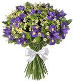 Iris with Daisy Tanacetum and Chrysanthemum Bouquet - Flowers Box London