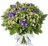 Iris with Daisy Tanacetum and Chrysanthemum Bouquet - Flowers Box London