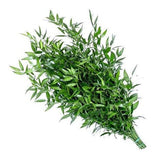 Italian Ruscus - Nature’s Perfect Greenery for Stylish Floral Designs - Flowers Box London