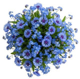 Just Blue Bouquet - Flowers Box London