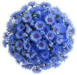 Just Blue Bouquet