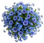 Just Blue Bouquet