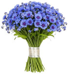 Just Blue Bouquet