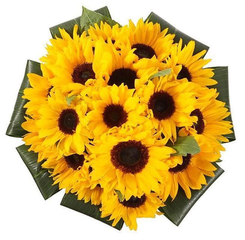 Just Sunflowers Bouquet - Flowers Box London